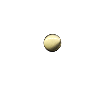 Rivet Coin 5 stuks