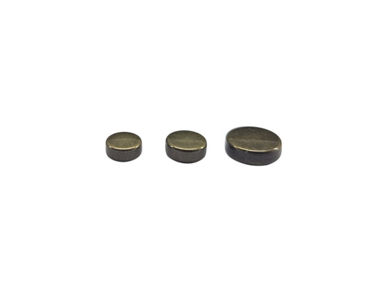 Rivet Coin 5 pieces